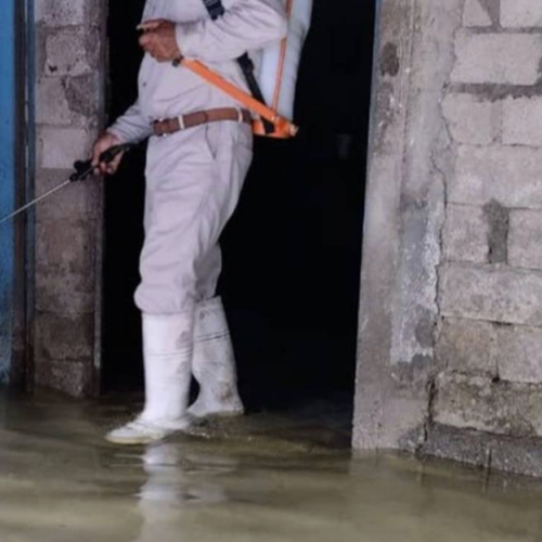 Tras lluvias, aumentan 300% casos de dengue en Oaxaca